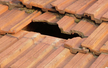 roof repair Middle Stoford, Somerset