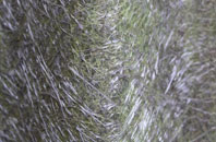 Middle Stoford fibreglass roof work